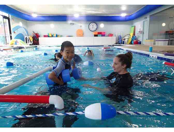 Little Flippers Swim School - $50 Gift Certificate