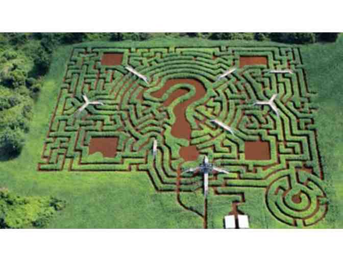 Davis Farm - Farmland or MegaMaze Admission for 4
