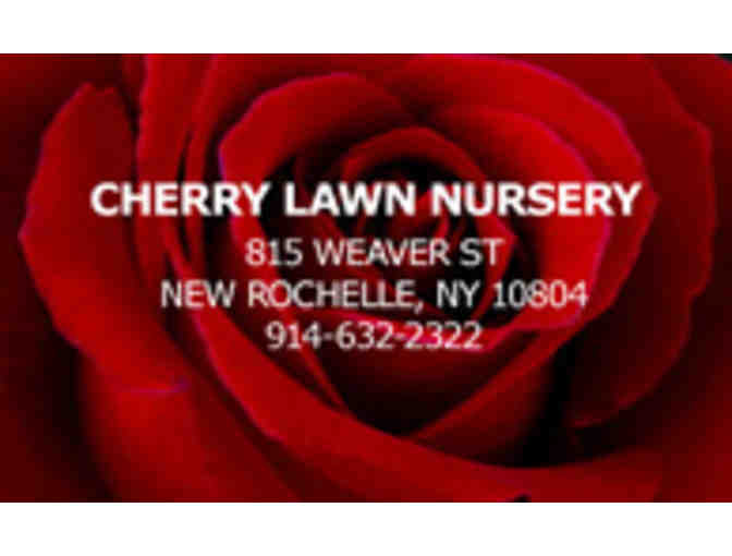Cherry Lawn Nursery Gift Card
