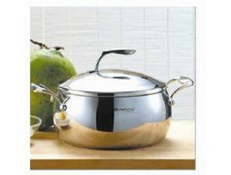 Tupperware 6 qt. Stainless Dutch Oven