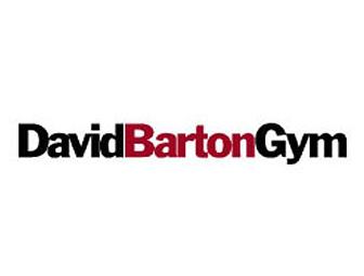 David Barton Gym 3 Month Membership and 2 Training Sessions