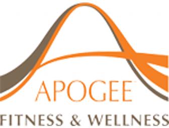 Apogee Pilates & Wellness Center Package - White Plains, NY