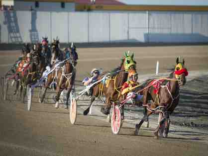 12 VIP Race Day Passes at Century Downs