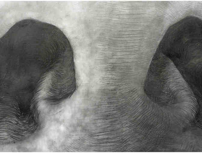 'Nos' by Joshua Hart