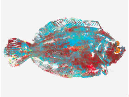 Beautiful GYOTAKU Fish Print Made by Perkins' Lower School Students