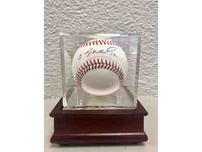 Autographed MLB Baseball by Boston Red Sox's Brock Holt