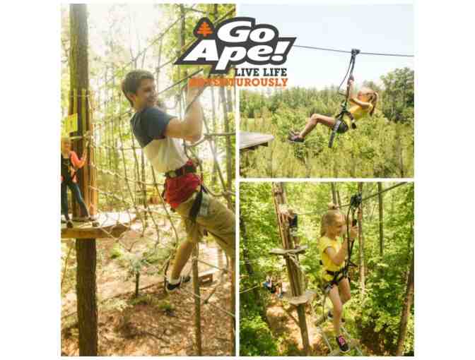 Two tickets to GoApe Treetop Adventures