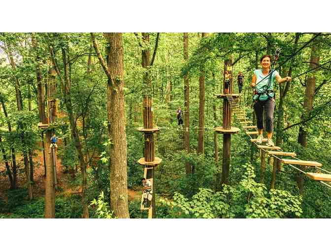 Two tickets to GoApe Treetop Adventures