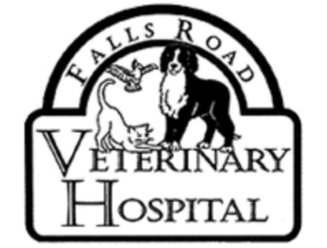 Free Initial Visit to Falls Road Veterinary Hospital