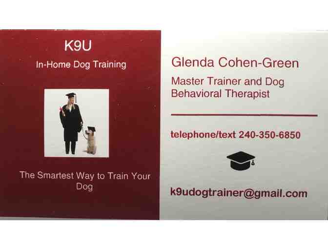 Two Hour Session with K9U Master Dog Trainer