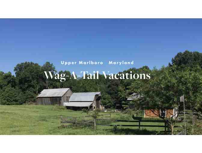 2 night weekend stay for your dog at Wag-A-Tail Vacations