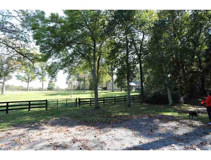 3-Day, 2-Night Stay at Middleburg Horse Farmhouse