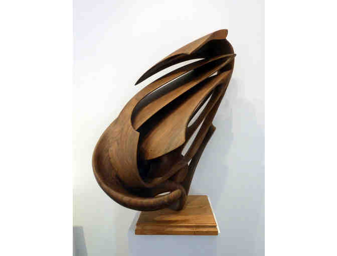 Bennet Blackburn - Prosthetic Angel Wing, 1997