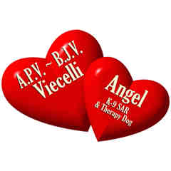 A.P.V. and B.J.V Viecelli