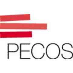 Pecos Consulting