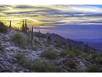 4 Bedrooms, Pool & spa--Phoenix South Mountain Village Staycation