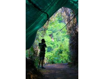 Puerto Vallarta, Mexico: Eight Days and Seven Nights with AIRFARE from American Airlines