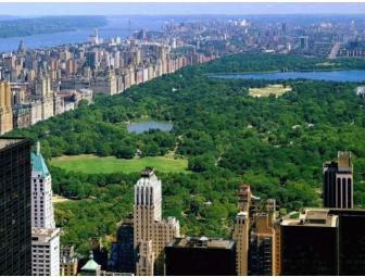 Central Park Tour for Ten