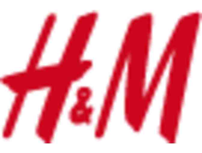 Passion for Fashion: H & M, THE LIMITED, J. Crew