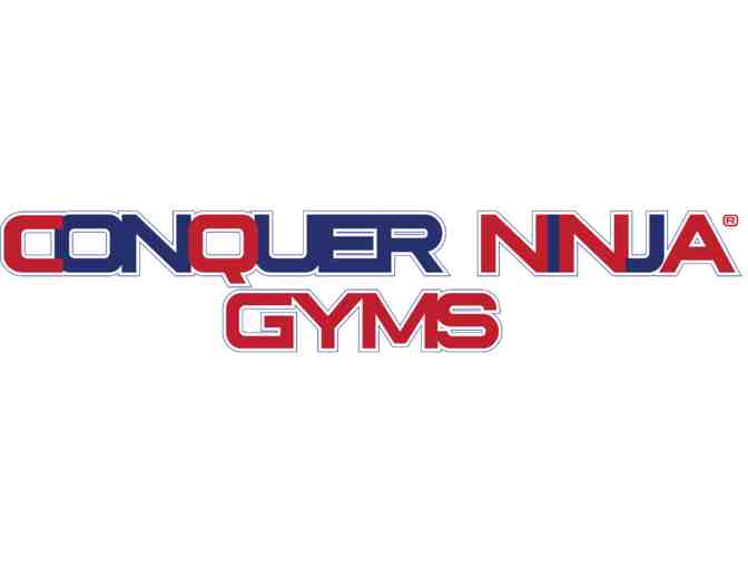 Conquer Ninja Gym - 4 Open Gym Passes - Photo 1