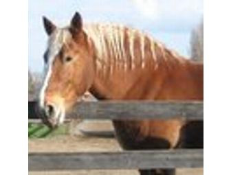 Ardenwood Historic Farm - Family Pass