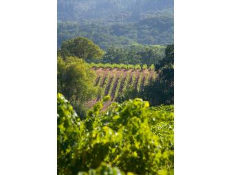 Winery Tour and Tasting for 6 at B.R. Cohn in Glenn Ellen