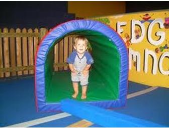 One Month Gymnastics Lessons at Edge Gymnastics