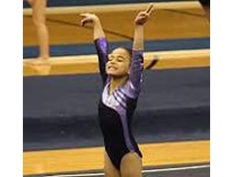 One Month Gymnastics Lessons at Edge Gymnastics