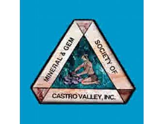 Amethyst Chunk from the CV Mineral & Gem Society