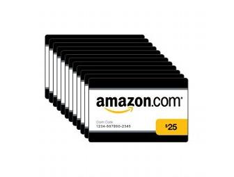 Bookworm Basket - includes Kindle Touch