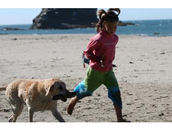 Anchor Bay Campground -2 Night Stay