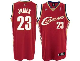 LeBron James #23 Jersey
