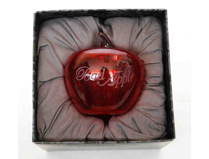 Disney MALEFICENT Blu-ray/DVD and Wickedly Cool Villain Items