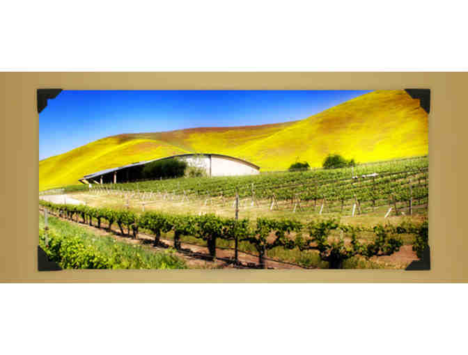 BYRON ESTATES Wine Tasting for Four