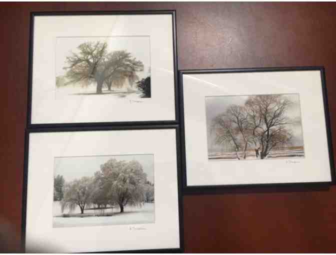 Gorgeous Winter Photographs by Richard Thompson - 20% off first bid!
