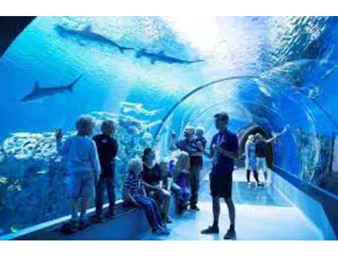 National Aquarium - 2 Tickets