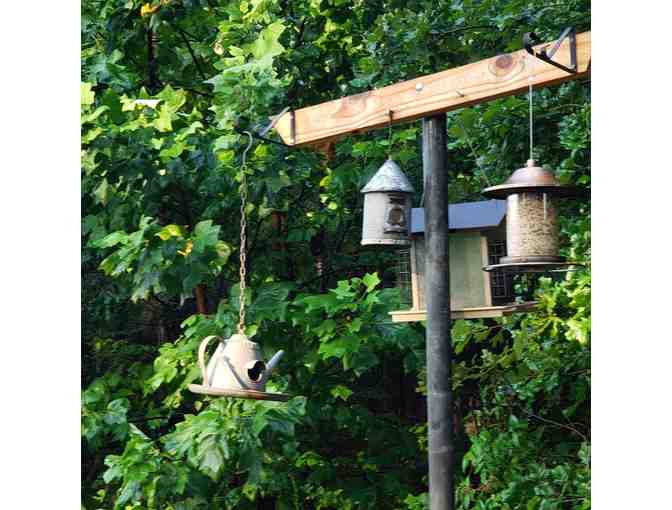 Secluded Virginia Retreat + Wine Tasting