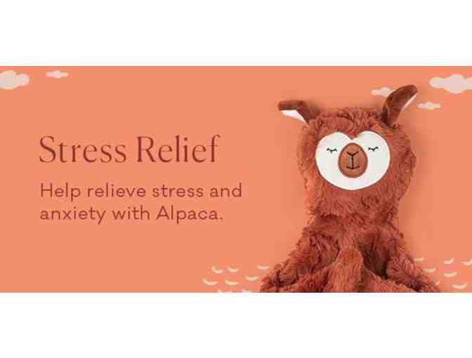 Alpaca Kin - Stuffed Animal, Book, and Card