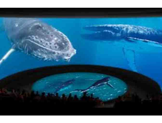 Aquarium of the Pacific (Long Beach) - 2 Admission Tickets