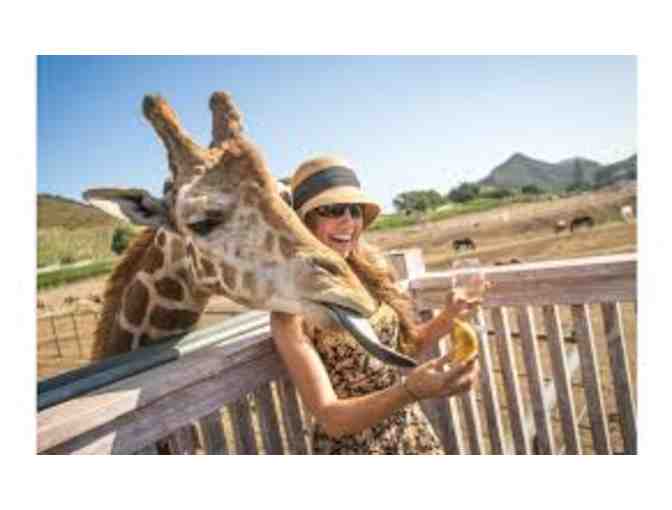 Malibu Wine Safari - Two Gift Certificates for a Giraffe Explorer Safari Tour