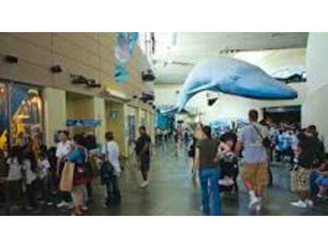 Aquarium of the Pacific (Long Beach) - 2 Admission Tickets