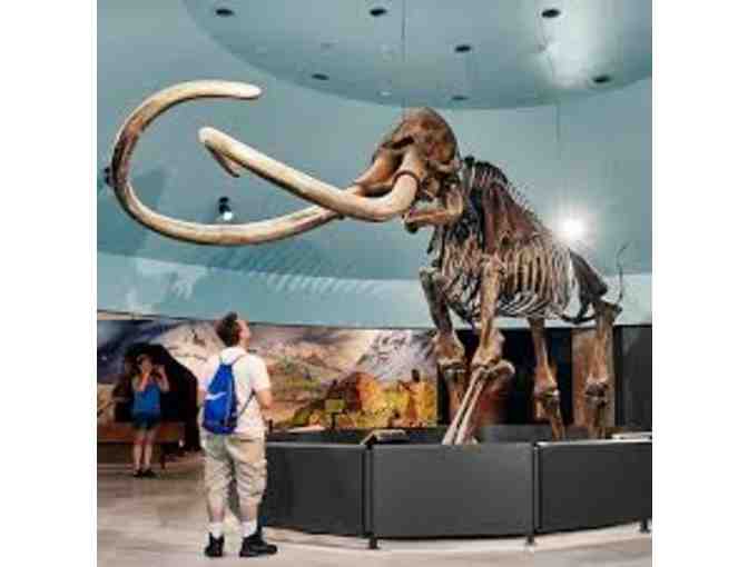 Natural History Museum (LA) or La Brea Tar Pits and Museum - 4 Guest Passes - Photo 2