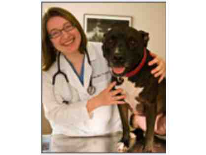 Services at the Animedic Vet in Manayunk