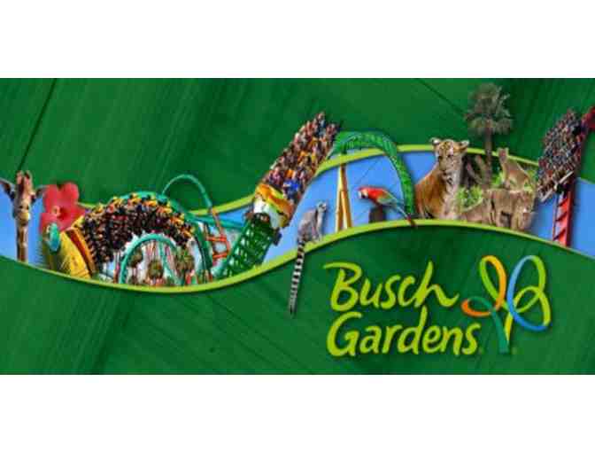Busch Gardens Tampa Single Day Admission for Two - Photo 1