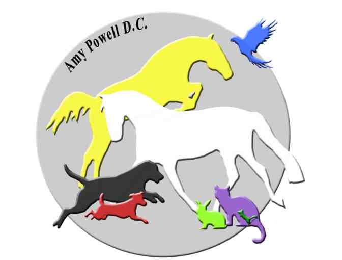 'Crunchy' Health Basket & Non-Toxic Home Inspection