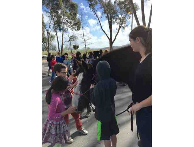 Mini Animals, Major Birthday Fun @ American Made Miniatures in Santa Rosa