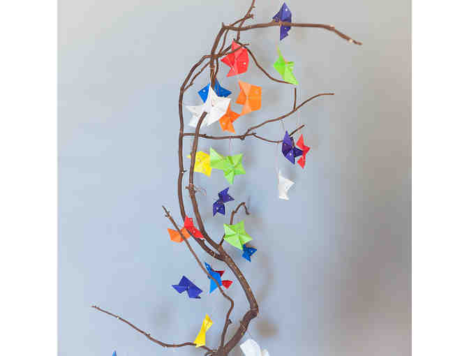 Kaweah Classroom Art Project