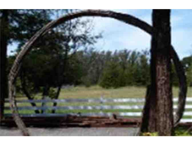 Artful Arrangements Homestead Fun for 8