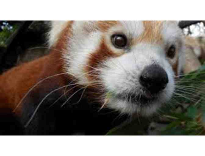 A Day in Sac with the Family