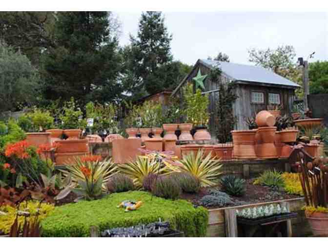 Organic Chef's Paradise